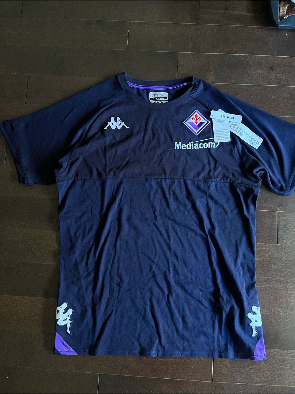 Kappa 2023-24 Fiorentina Italy Presentation Tee Football World Cup Soccer
